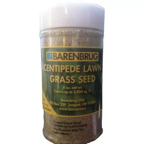 10004-barenbrug-centipede-grass-seed 10004 Barenbrug Centipede Grass Seed