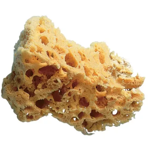 10136-trimaco-super-tuff-painting-sponge 10136 Trimaco Super Tuff Painting Sponge