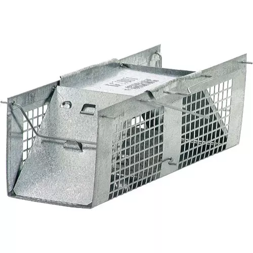 1020-havahart-live-mouse-trap 1020 Havahart Live Mouse Trap