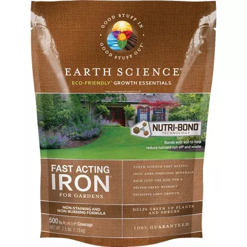 12134-6-earth-science-fast-acting-iron 12134-6 Earth Science Fast Acting Iron