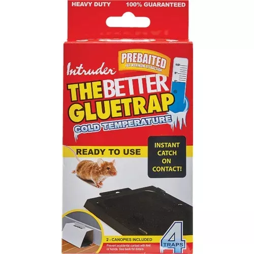 17505-intruder-better-glue-trap-cold-temperature-mouse-trap 17505 Intruder The Better Glue Trap Cold Temperature Mouse Trap