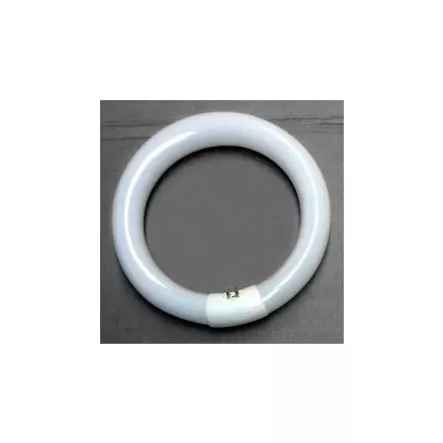 22-watt-circle-fluorescent-bulb 22 Watt Circle Fluorescent Bulb