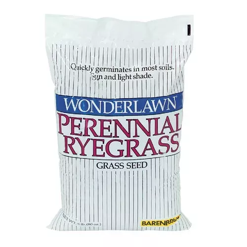22650-wonderlawn-perennial-ryegrass-grass-seed 22650 Wonderlawn Perennial Ryegrass Grass Seed