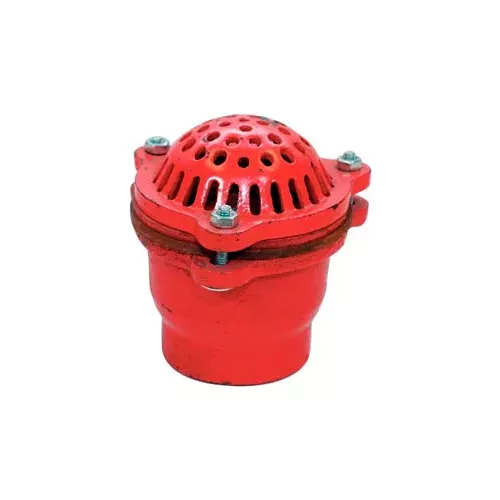 3-fnpt-cast-iron-foot-valve-w-leather-flapper 3" FNPT Cast Iron Foot Valve w/ Leather Flapper