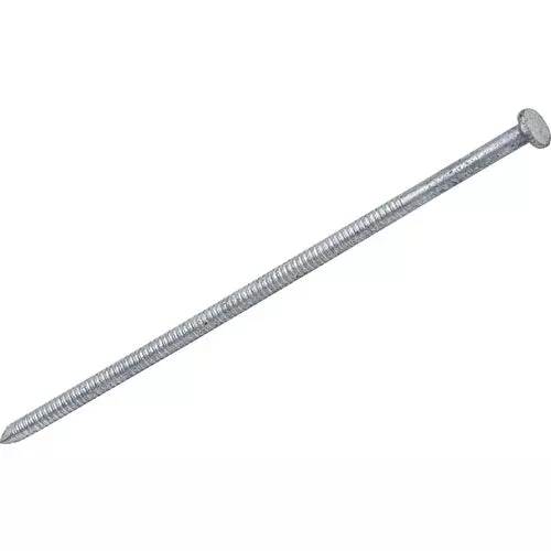 60hgtpobk-grip-rite-hot-galvanized-ring-shank-pole-barn-nail 60HGTPOBK Grip-Rite Hot Galvanized Ring Shank Pole Barn Nail