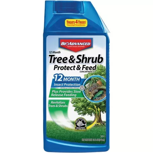 701615a-bioadvanced-tree-shrub-protect-feed-insect-killer 701615A BioAdvanced Tree & Shrub Protect & Feed Insect Killer