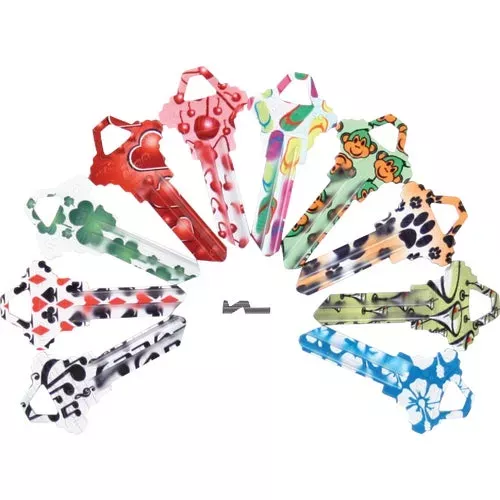 ak00025150-ilco-schlage-assorted-painted-decorative-house-key AK00025150 ILCO SCHLAGE Assorted Painted Decorative House Key