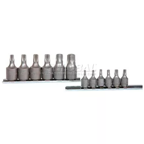 chrome-socket-3-8-drive-t55-internal-torx Chrome Socket, 3/8" Drive, T55 Internal Torx
