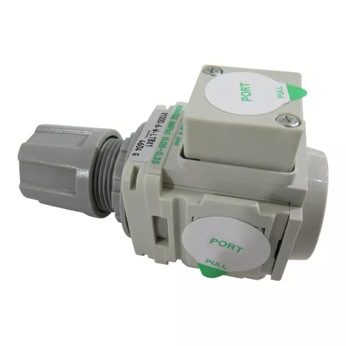 CKD | R1000-6-W-LT8X1 | Air Regulator