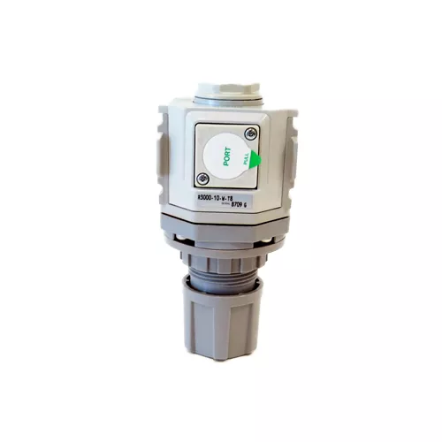 CKD | R3000-10-W-T8 | Air Regulator