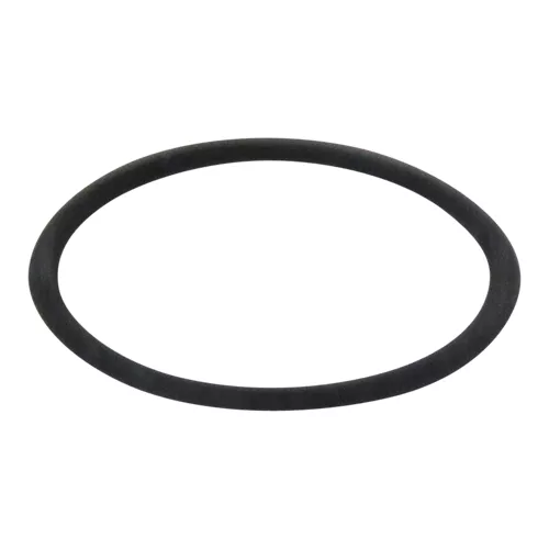 CSF Inox | RAAGA2093F | O-ring