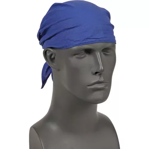 ergodyne-chill-its-6710-evaporative-cooling-triangle-hat-solid-blue-one-size Ergodyne Chill-Its 6710 Evaporative Cooling Triangle Hat, Solid Blue, One Size