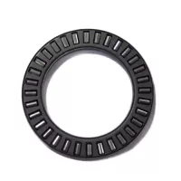 iko-ntb2542-needle-roller-bearing IKO | NTB2542 | Needle Roller Bearing