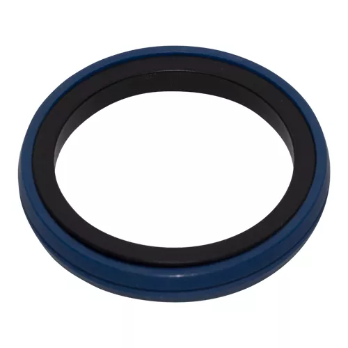 MSPGI-30 | Glyd Ring Seal