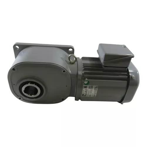 nissei-fs45n80-md08tnntn-induction-gearmotor Nissei | FS45N80-MD08TNNTN | Induction Gearmotor