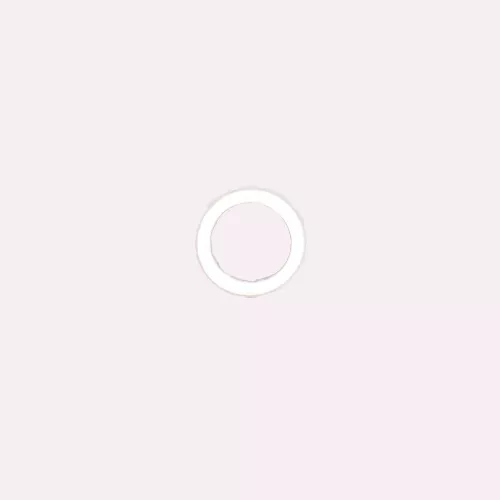 NOK | SUN-2BP-12 | Back-up Ring