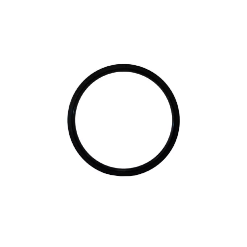 NOK | TC-160X180X10 | Oil Seal