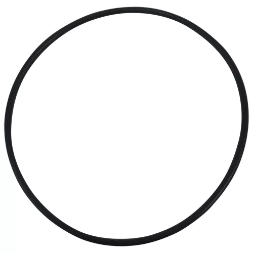 NOK | V-120 | O-ring