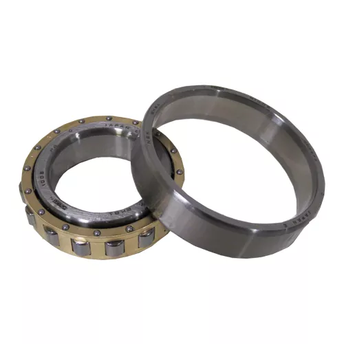 NSK | N1006MR1CCG5P4 | Cylindrical Roller Bearing