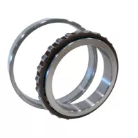 NSK | N1008BTKRCC1P4 (NSK) | Cylindrical Roller Bearing