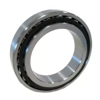 NSK | N1014BTKRCC1P4 (NSK) | Cylindrical Roller Bearing
