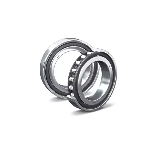 NSK | N1017BTCCG5P4 | Cylindrical Roller Bearing