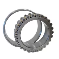 NSK | N1020BTCCG10P4 (NSK) | Cylindrical Roller Bearing