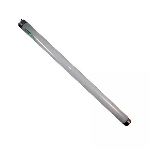 RE4-PTF10T8/CW | Bulb