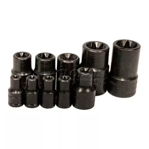 socket-3-8-drive-e20-external-torx Socket, 3/8" Drive, E20 External Torx