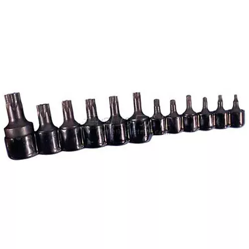 socket-3-8-drive-t45-internal-torx Socket, 3/8" Drive, T45 Internal Torx