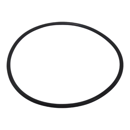 Trelleborg | ORAR00241-V80 | O-ring