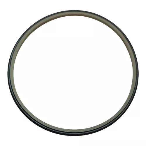 Trelleborg | WE5301900-T46N | Scraper