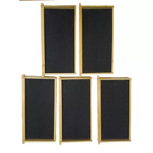 wwffdb-103-5-harvest-lane-honey-deep-beehive-frame WWFFDB-103-5 Harvest Lane Honey Deep Beehive Frame